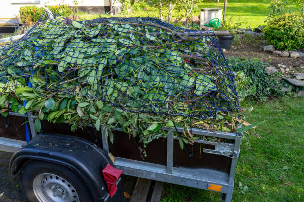 Professional Junk Removal Services in Beach Haven West, NJ